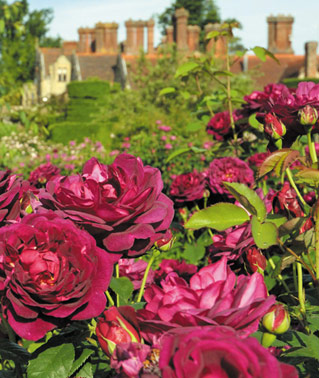 Borde Hill Garden